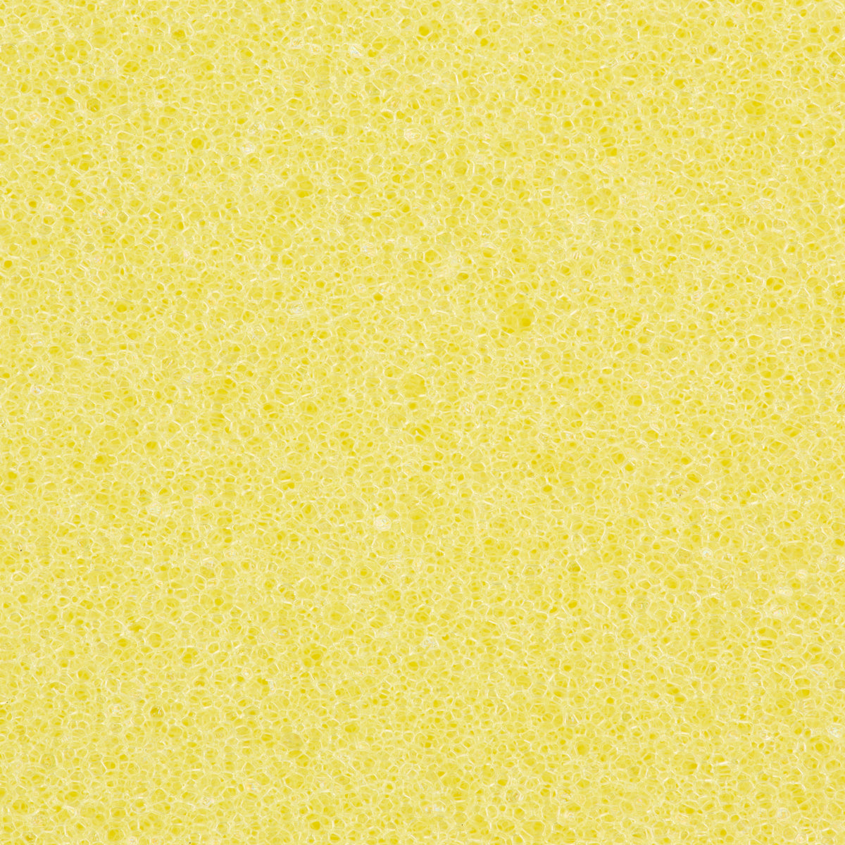 CFS Brands Extra Large Sponge 8" x 4" x 2.5" Yellow 24 / cs — manufacturer reference photo; confirm listed SKU and selling unit