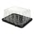 Novolex - Pactiv 1/8 Sheet Black Base Cake Container with 4.25" RoseDome 50 / cs