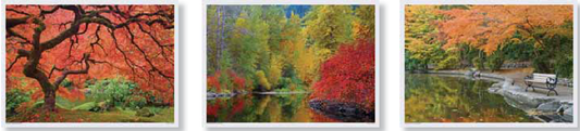Representative Hoffmaster product-type reference illustration; design, size and quantity may differ