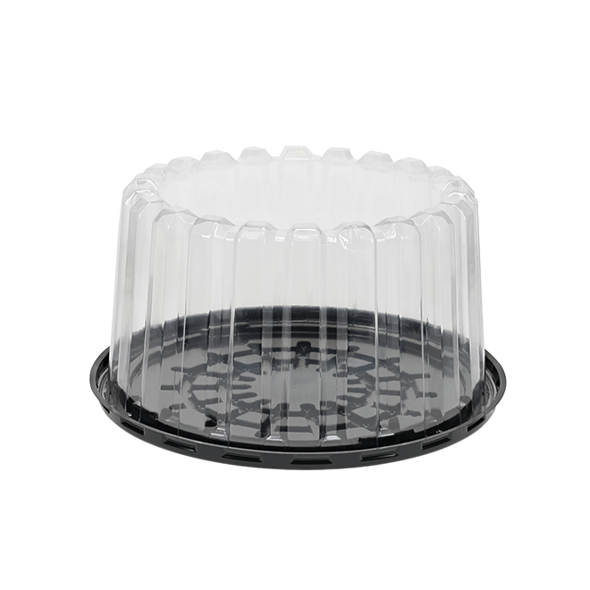 Representative manufacturer product-type image; design, size, compartments and pack quantity may differ