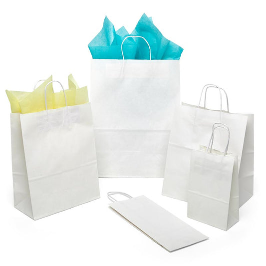 Generic unbranded twisted-handle paper shopper reference; not manufacturer-specific. Actual supplied color: natural kraft; listed size and case quantity apply. Tissue not included.