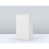 IBS Reddi-2-Go Twist Handle Paper Bag White, 65#, 13" x 7" x 17" 250 / cs