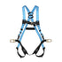 HARNESS ECONOMY