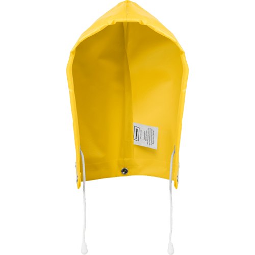 GOLD HOOD, ONSF