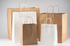 Kari-Out Small Kraft Twist Handle Bag 9.65" x 5.25" x 13.38" 250 / cs