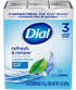 Dial Antibacterial Bar Soap 4 oz Gold 3 Bars , Spring Water 12 / 3 cs