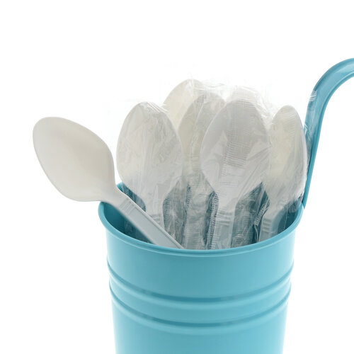 Generic reference image: unbranded individually wrapped white plastic teaspoons; not manufacturer-specific. Design and packaging may differ; display container not included. See listed details.